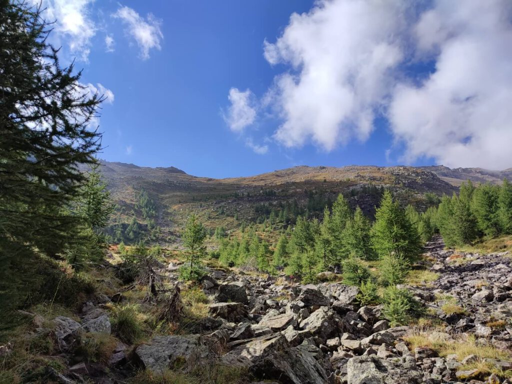 Wanderung Col du Bal