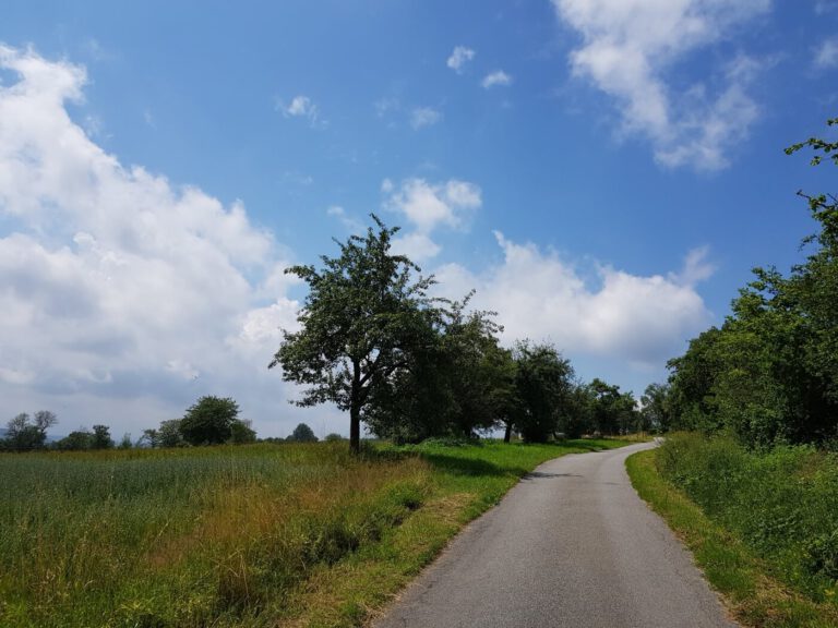 Mit dem Wohnmobil im Odenwald