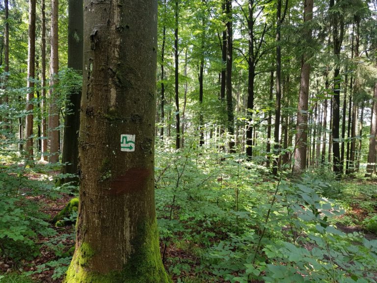 Mit dem Wohnmobil im Odenwald