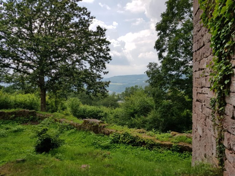 Mit dem Wohnmobil im Odenwald