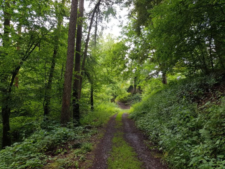 Mit dem Wohnmobil im Odenwald