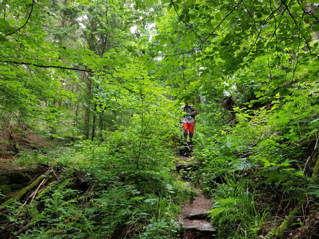 Wanderung Wolfsschlucht