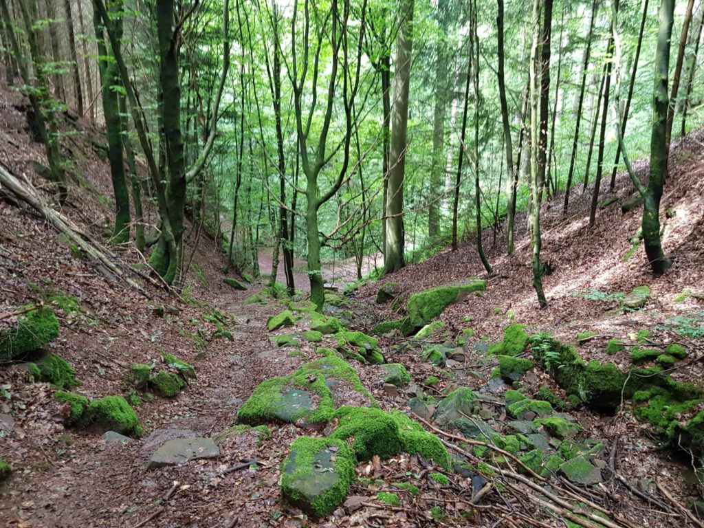 Wanderung Wolfsschlucht