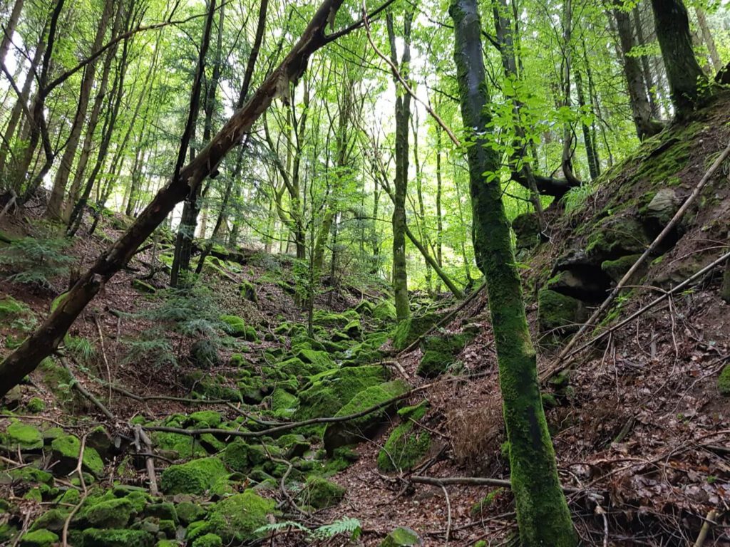 Wanderung Wolfsschlucht