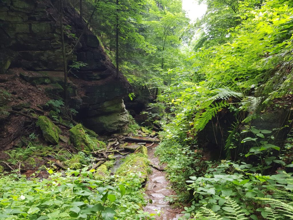 Wanderung Wolfsschlucht