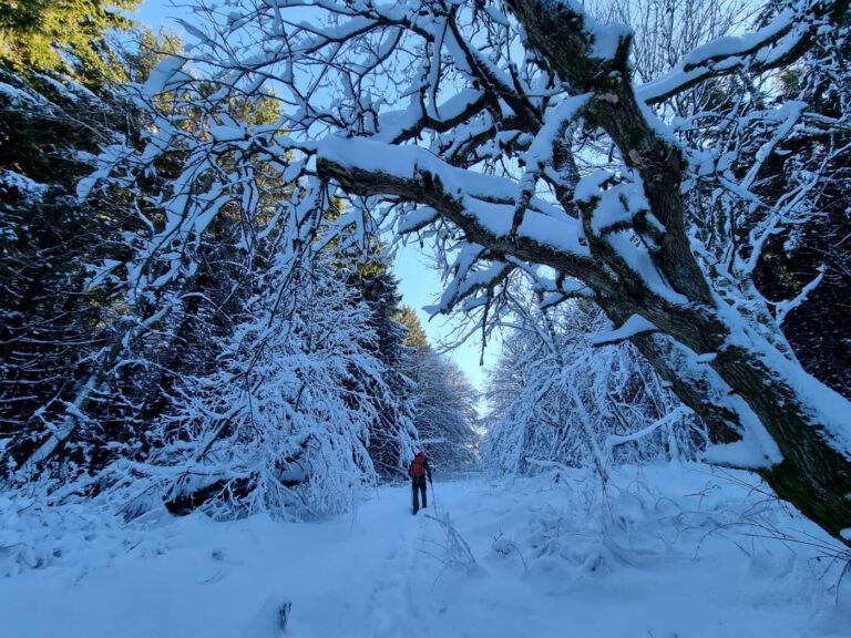 Wintertour mit dem Wohnmobil