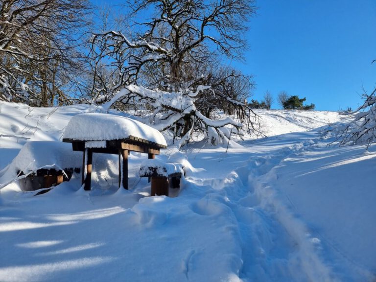 Wintertour mit dem Wohnmobil