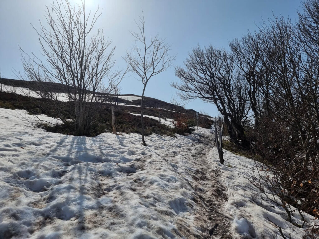 Grand Ballon