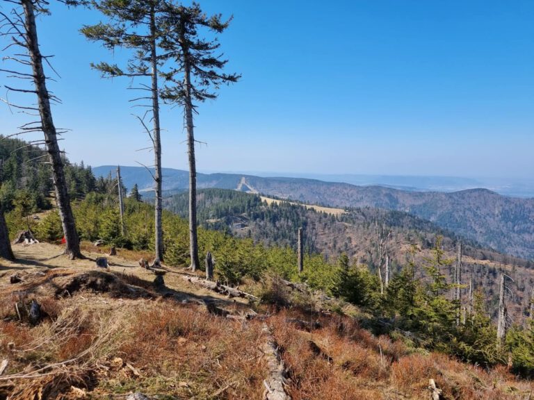 Wanderung zum Brézouard