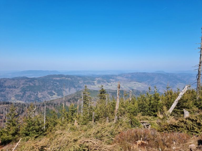 Wanderung zum Brézouard