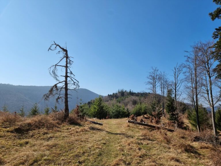 Wanderung zum Brézouard