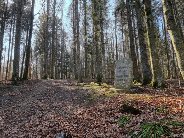 Wanderung zum Brézouard