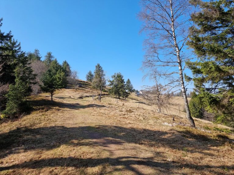 Wanderung zum Brézouard