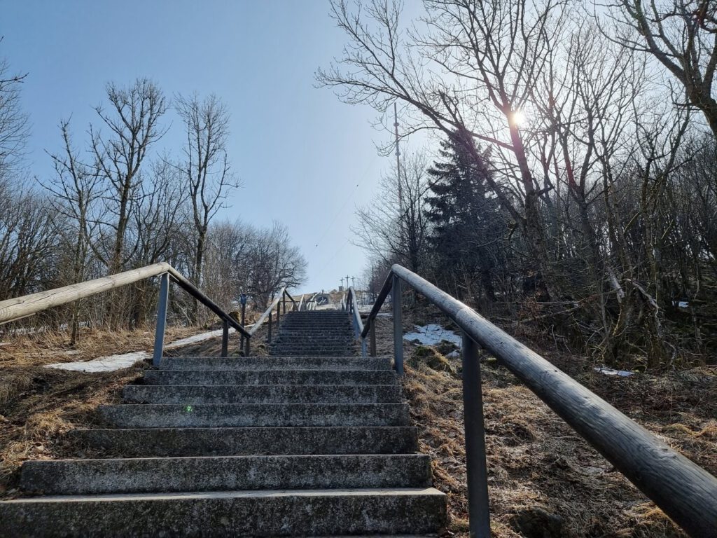 Harz, Rhön und Odenwald