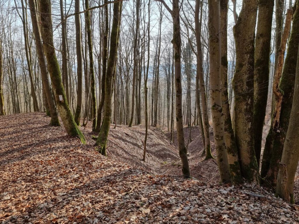 Harz, Rhön und Odenwald