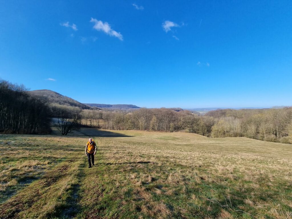 Harz, Rhön und Odenwald