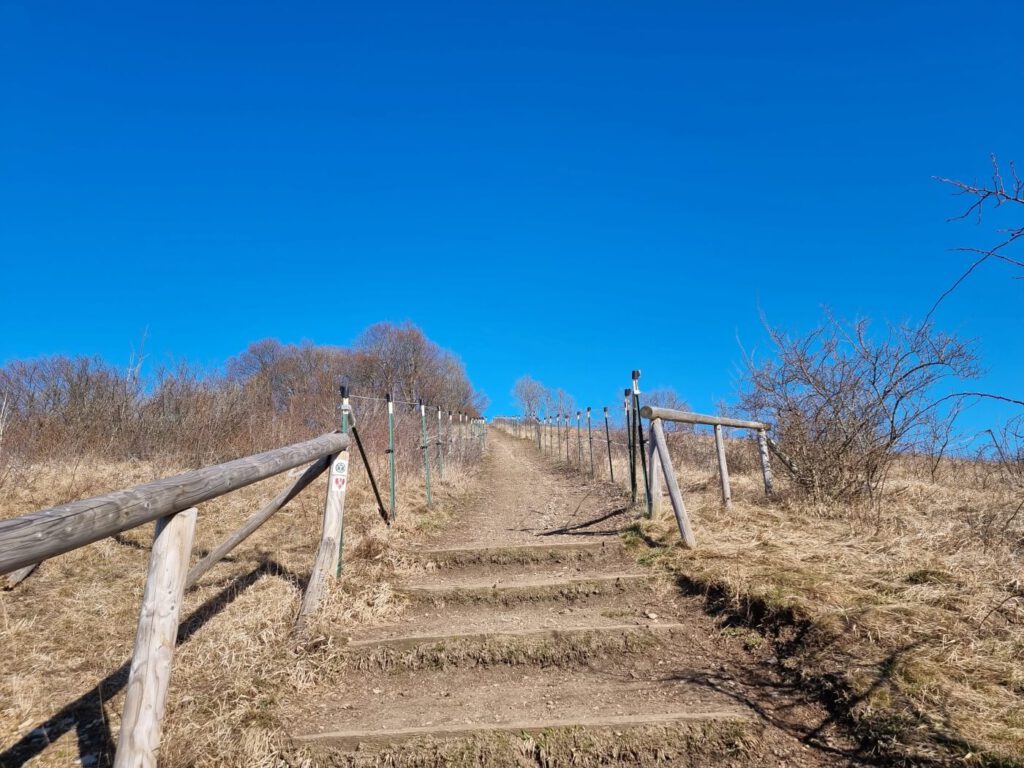 Harz, Rhön und Odenwald