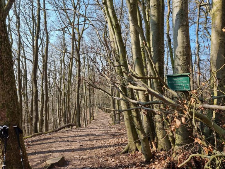 Wanderung Teufelskanzel