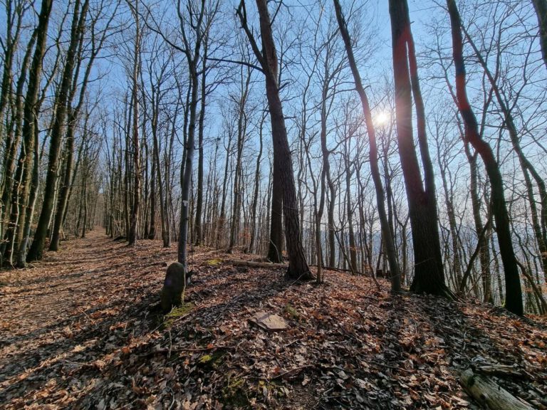 Wanderung Teufelskanzel