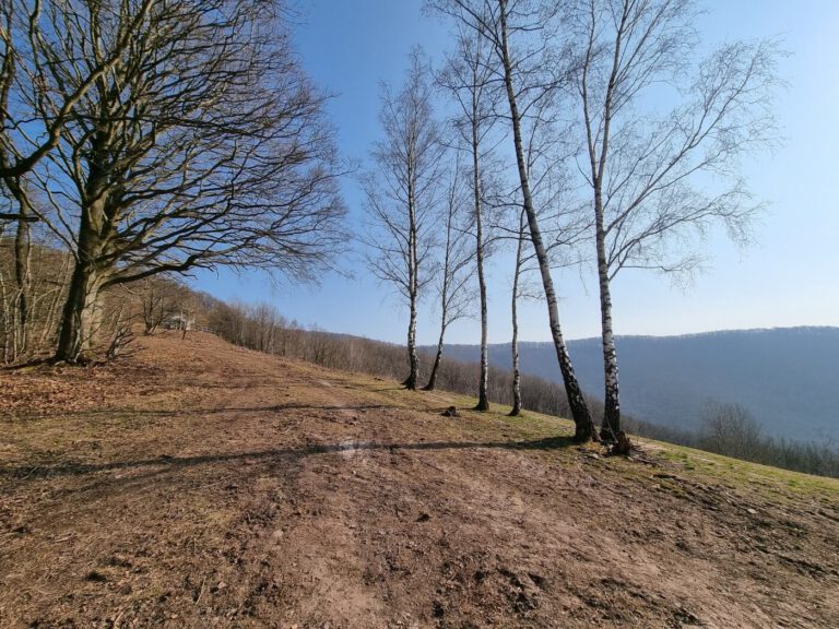 Wanderung Teufelskanzel