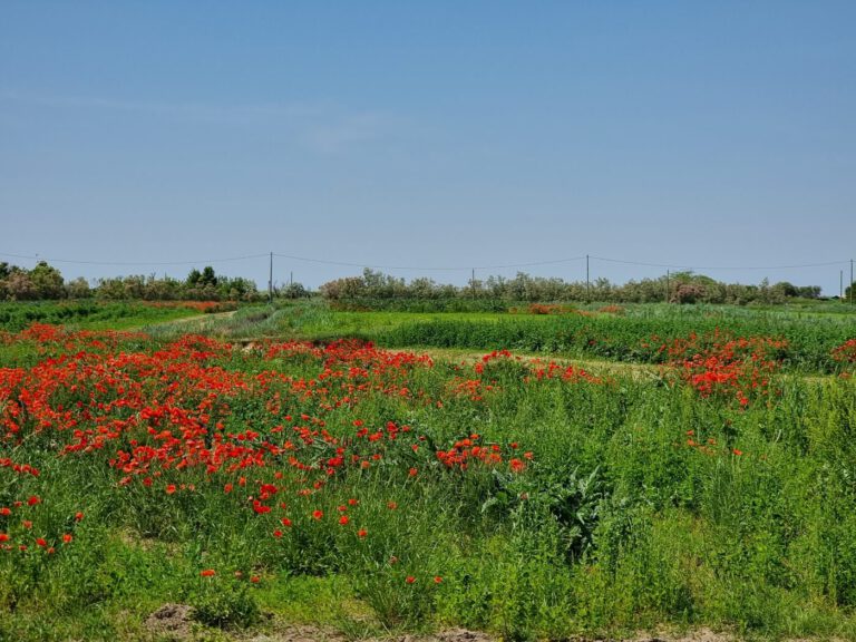 Radtour Cavallino