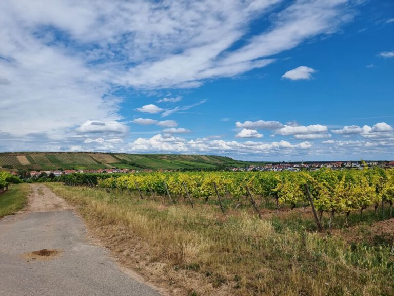 Wanderung Roter Hang