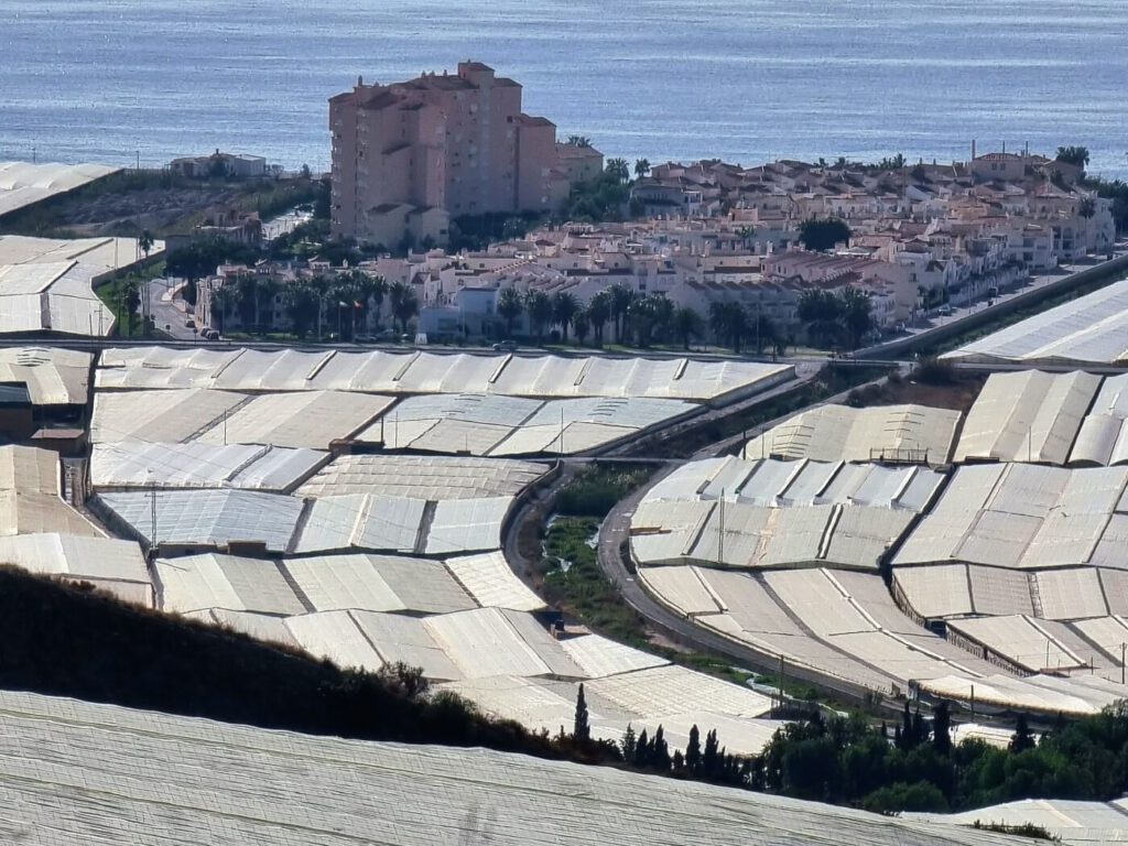 Almerimar benidorm