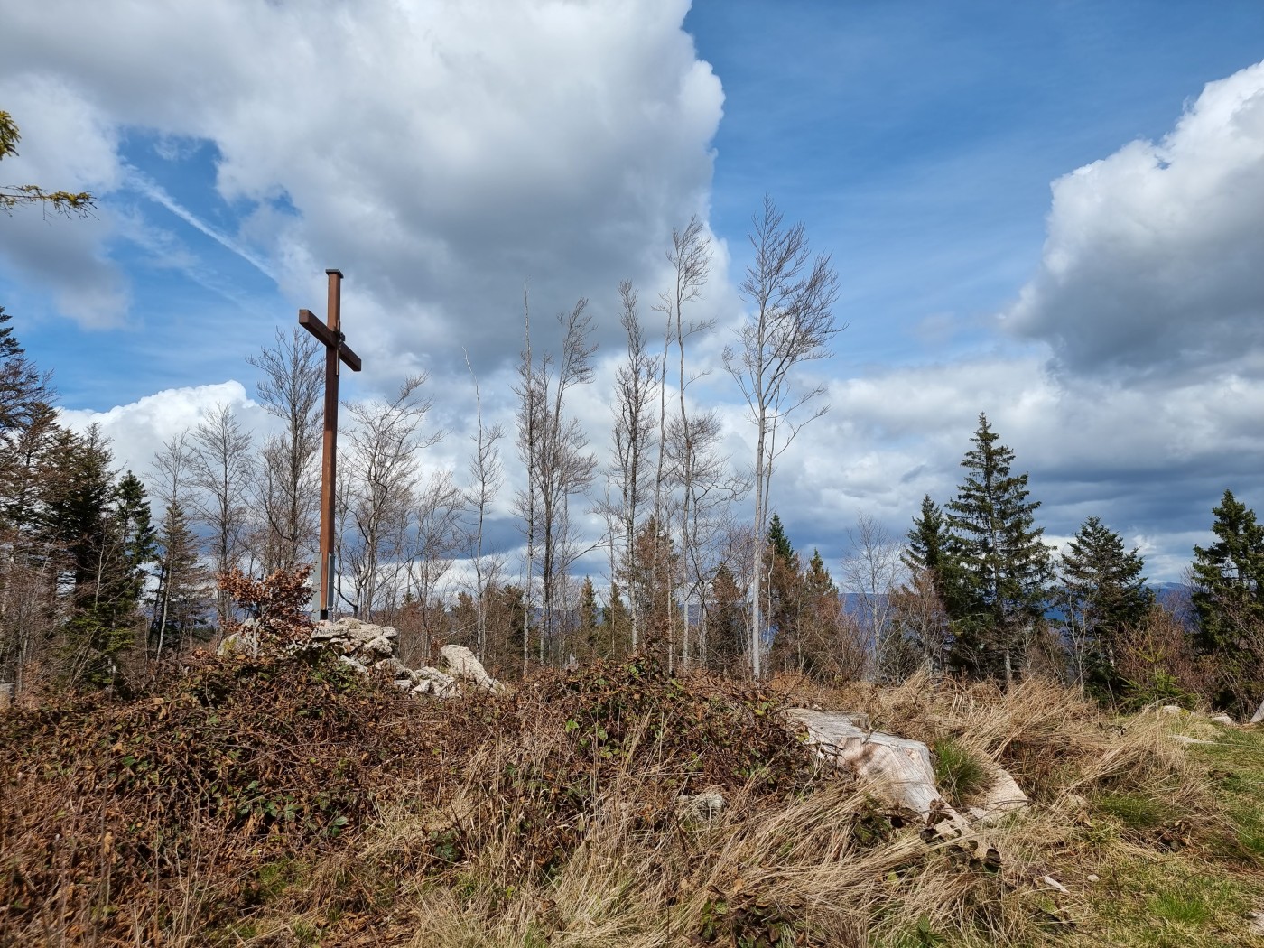 Frühling in Deutschland?