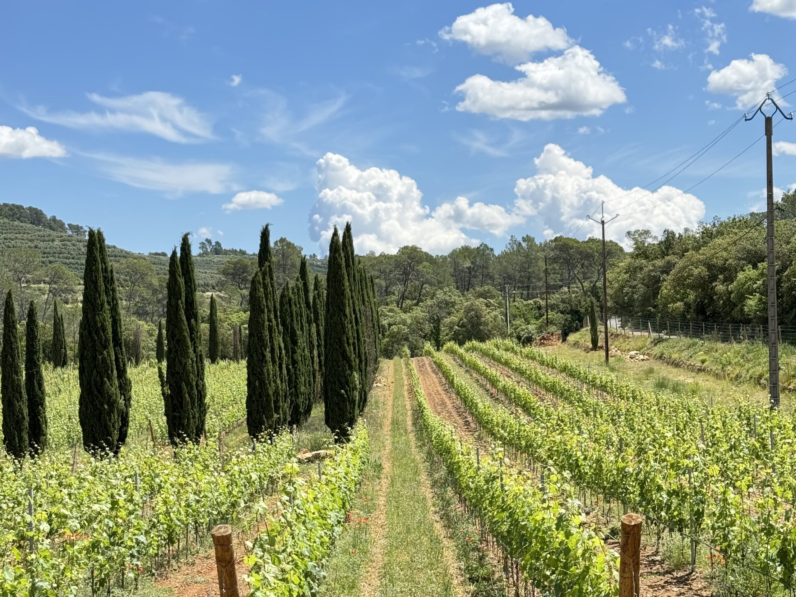 Unentdeckte Provence – Le Thoronet